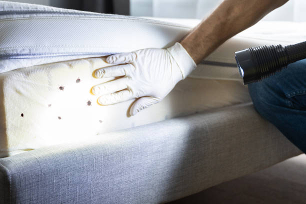 Best Wildlife Control Services  in Woodmore, MD
